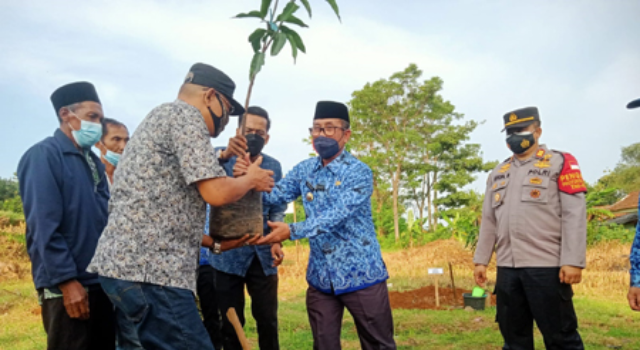 Dalam Dua Tahun, Ditargetkan 1 Juta Pohon Mangga Gincu Ditanam di Cirebon